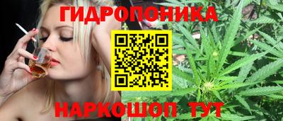 хмурый Бийск