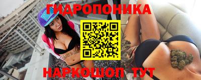 хмурый Бийск